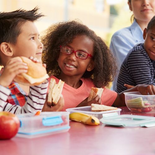 school food menu planning consulting