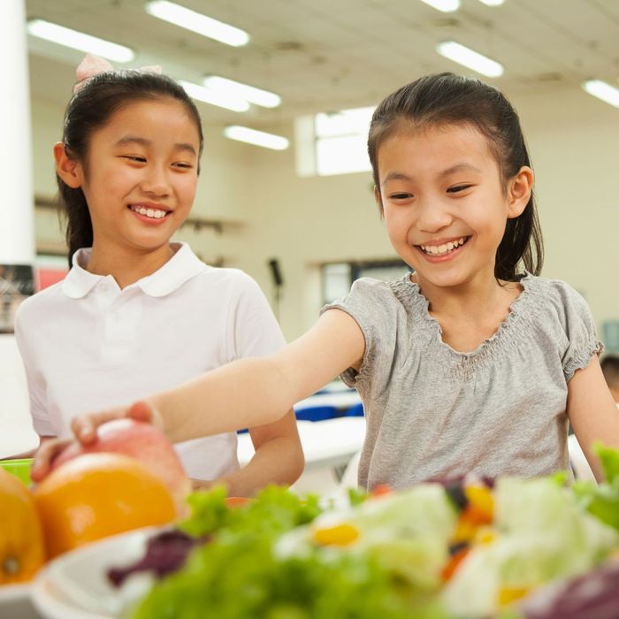 Nutrition consulting for schools