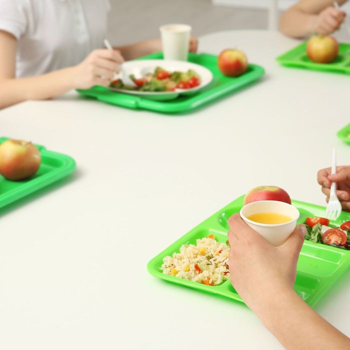 Nutrition consulting for schools