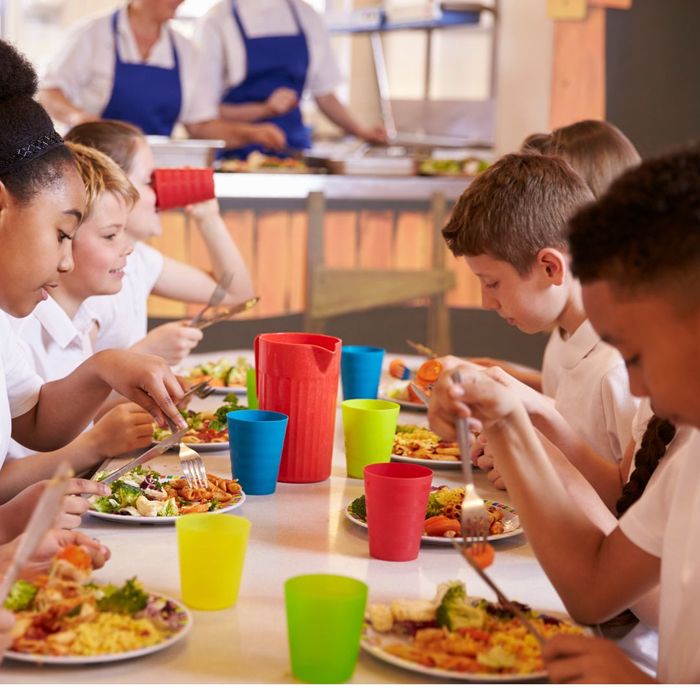 Nutrition consulting for schools