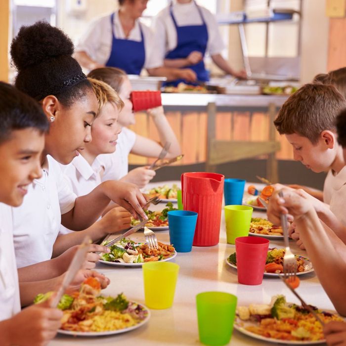 Nutrition consulting for schools