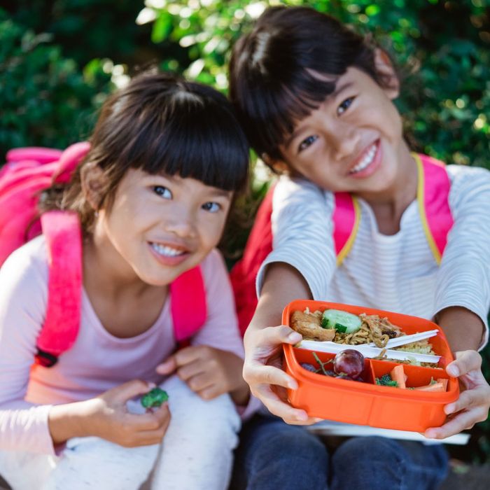 Nutrition consulting for schools