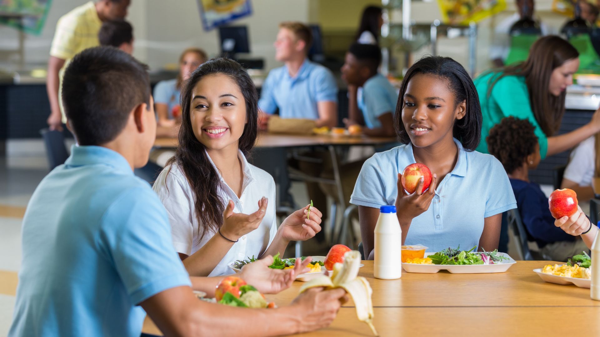 The healthy food school collaborative